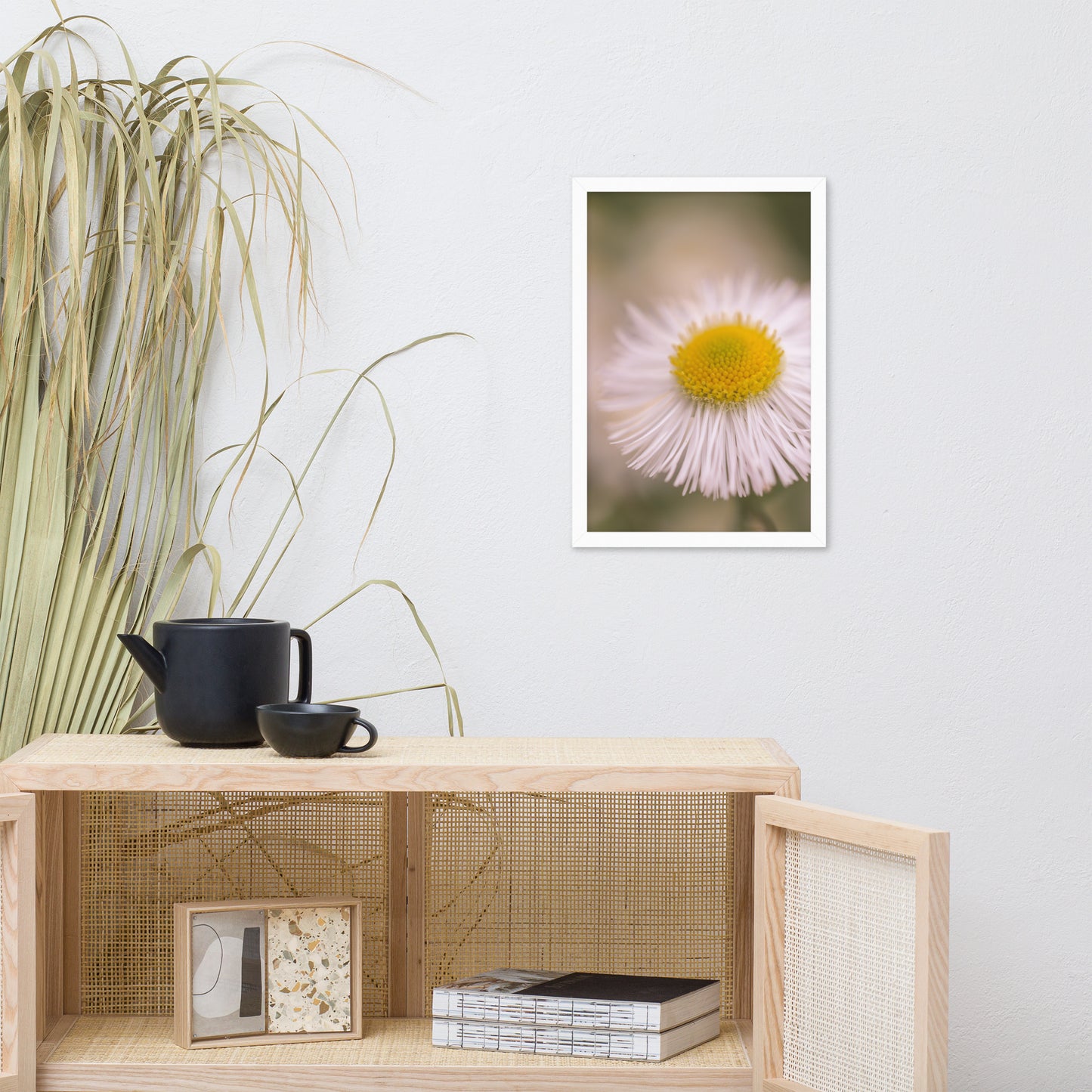 Philadelphia Fleabane Single Bloom Floral Nature Photo Framed Wall Art Print