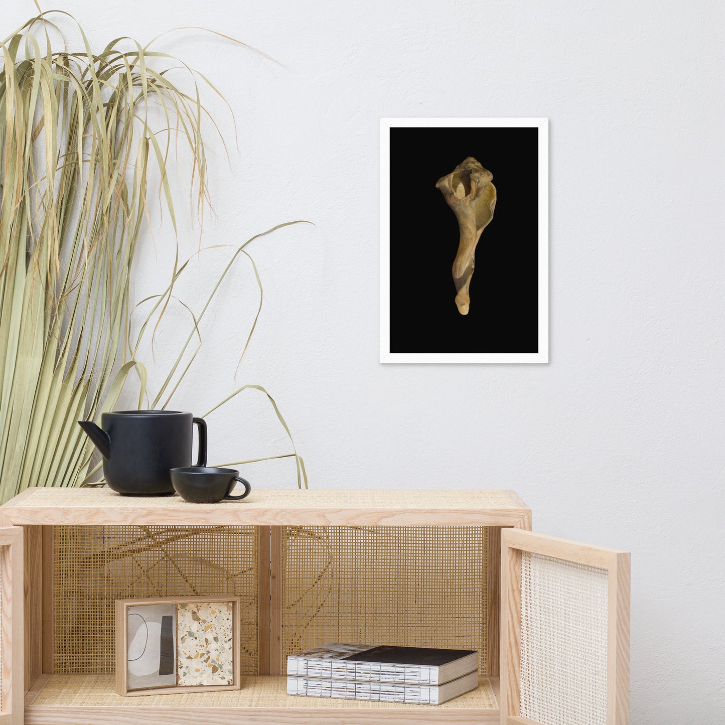 States of Erosion Image 3 Whelk Shell Coastal Nature Photo Framed Wall Art Print