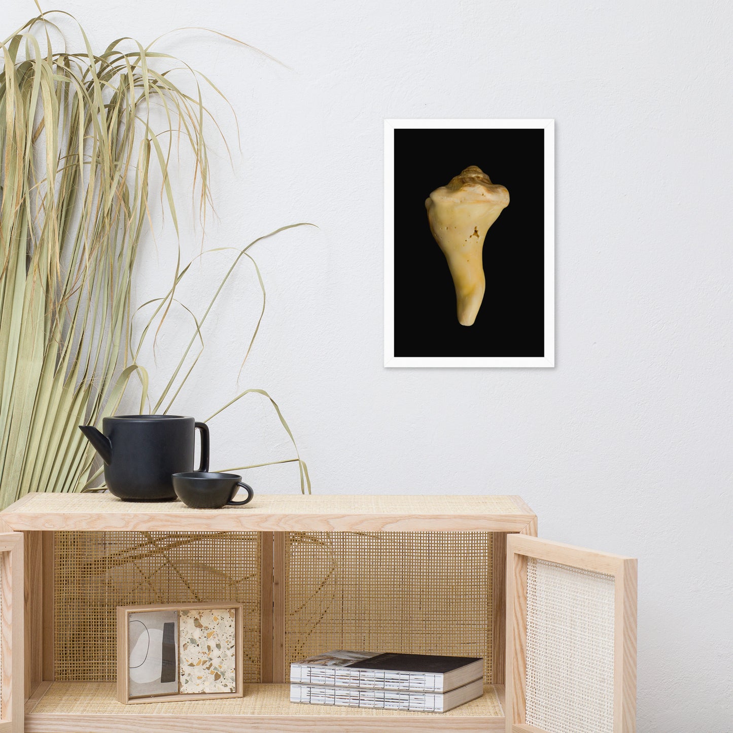 State of Erosion Image 8 Whelk Shell Coastal Nature Photo Framed Wall Art Print