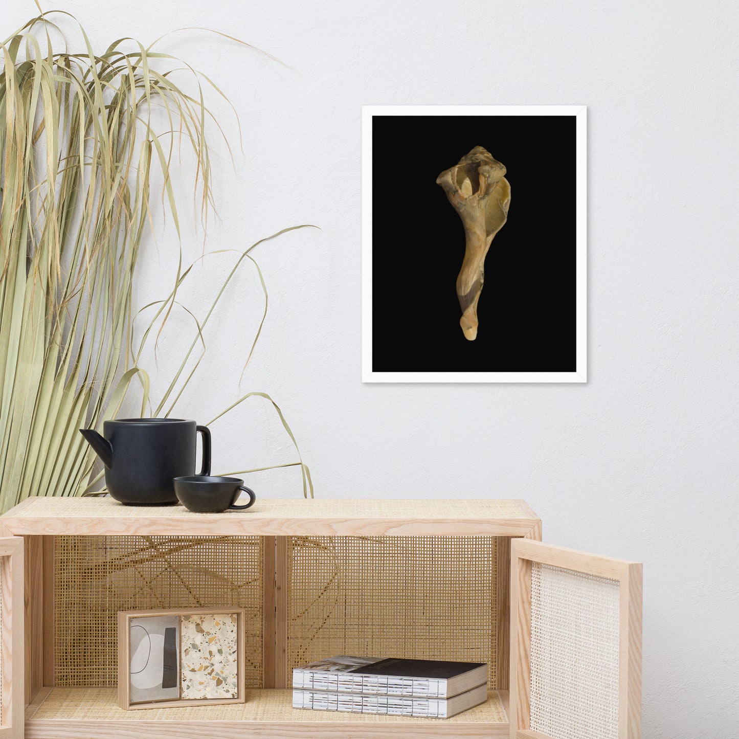 States of Erosion Image 3 Whelk Shell Coastal Nature Photo Framed Wall Art Print