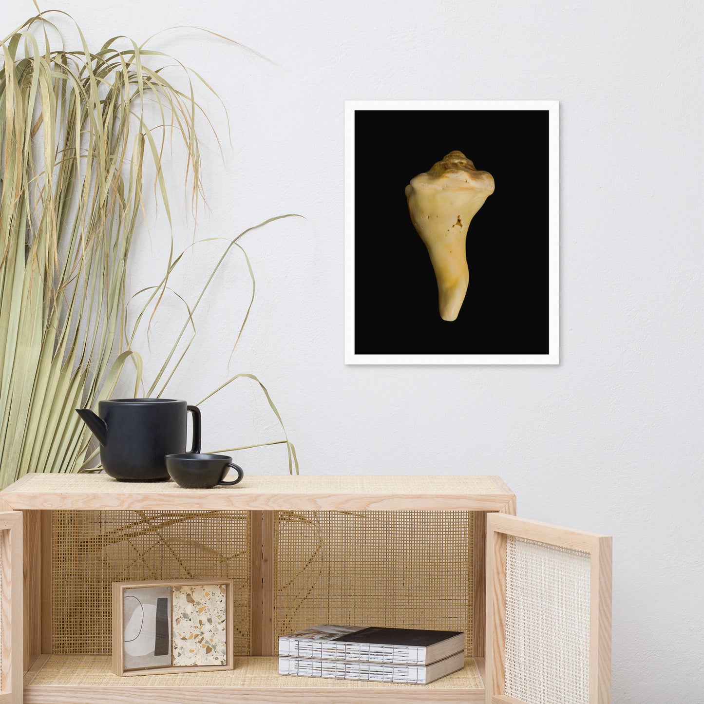 State of Erosion Image 8 Whelk Shell Coastal Nature Photo Framed Wall Art Print
