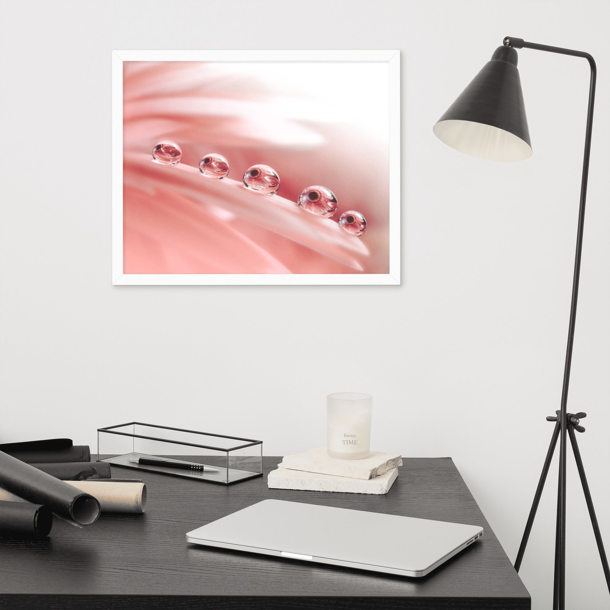 Art Photos: Dew Drops on Gerbera Daisy Petals Floral Botanical Photograph Shabby Chic - Vintage Framed Wall Art Print