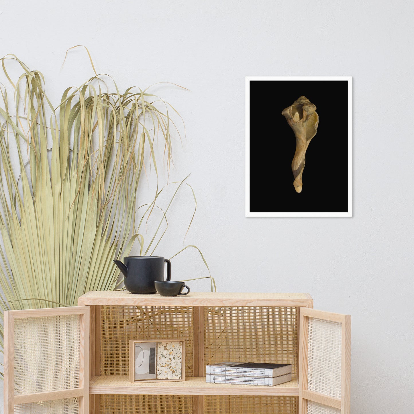 States of Erosion Image 3 Whelk Shell Coastal Nature Photo Framed Wall Art Print