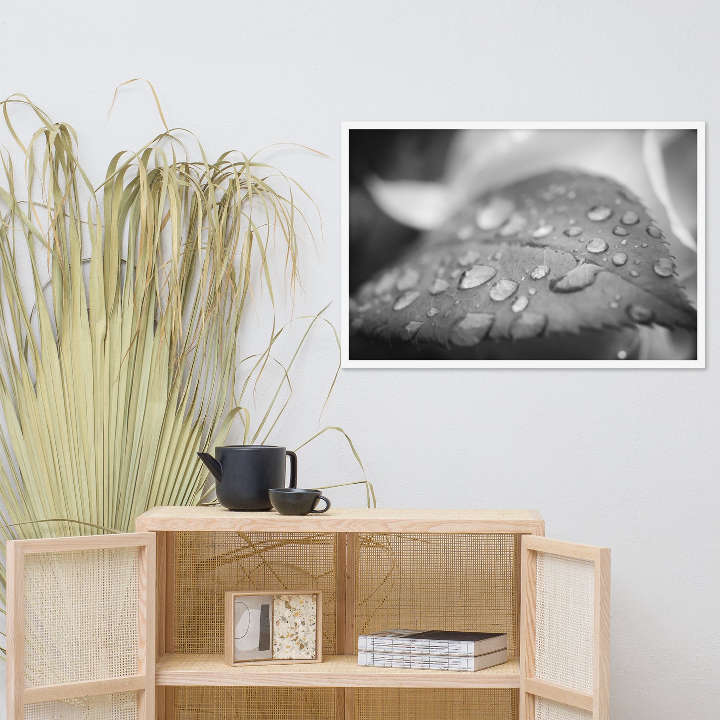 Dew on Leaf of Rose Plant Black and White Botanical Nature Photo Framed Wall Art Print