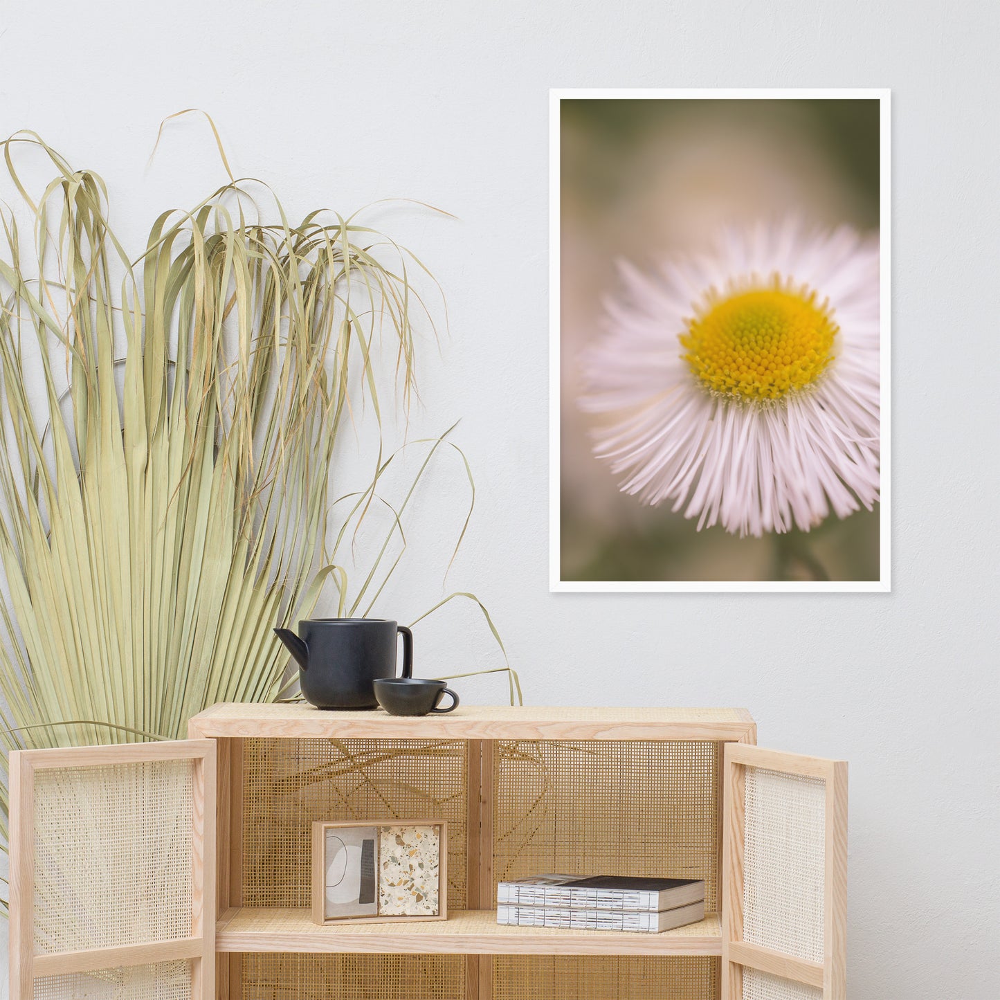 Philadelphia Fleabane Single Bloom Floral Nature Photo Framed Wall Art Print
