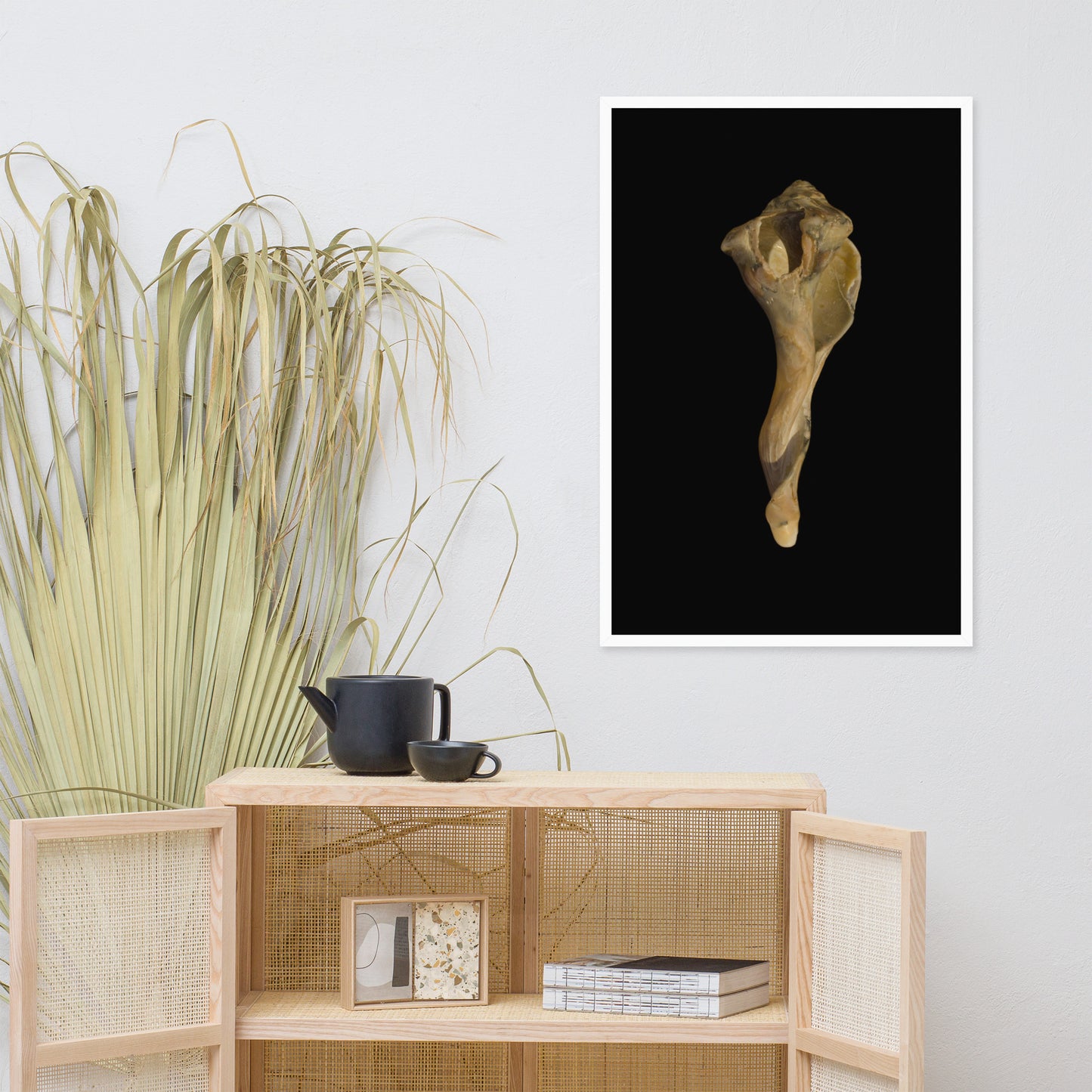 States of Erosion Image 3 Whelk Shell Coastal Nature Photo Framed Wall Art Print