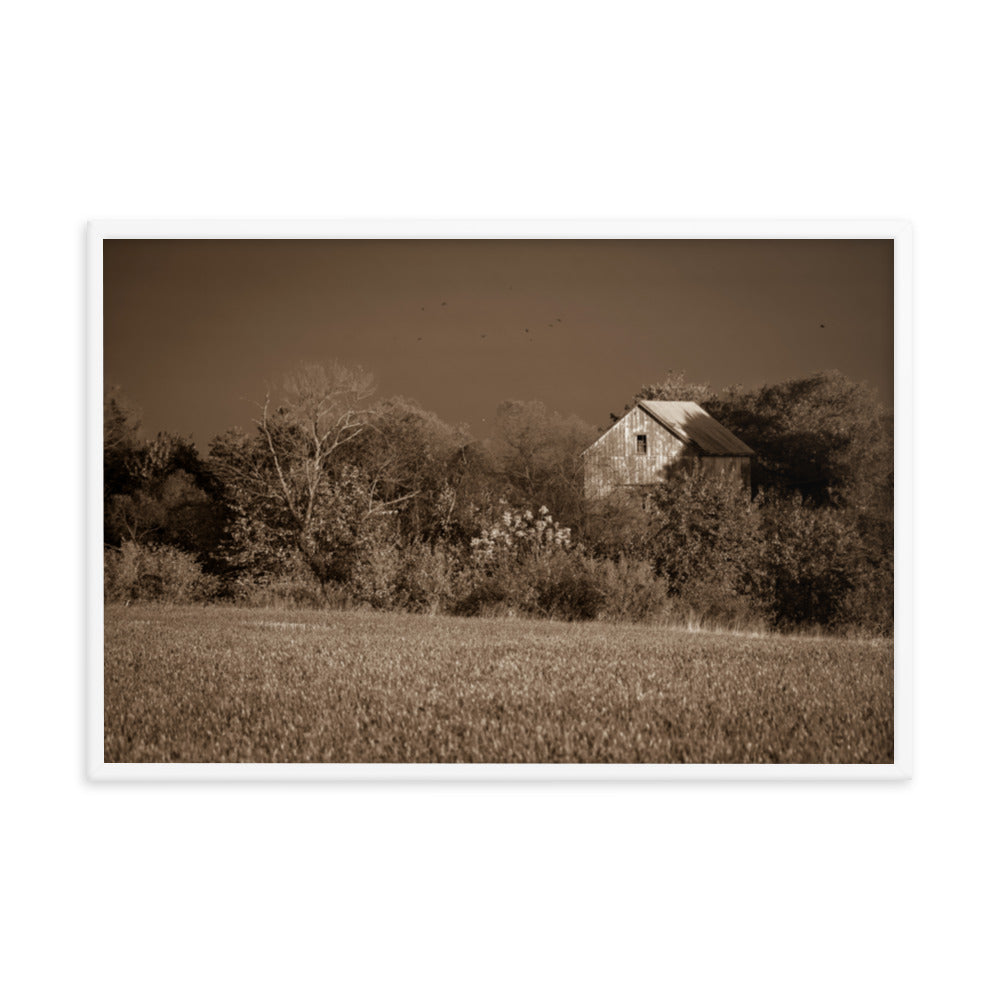 Rustic Prints: Framed Country Wall Art: Abandoned Barn In The Trees Sepia - Rural / Country Style / Landscape / Nature Framed Photo Paper Prints - Artwork - Wall Decor