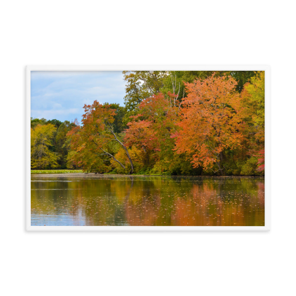 Wall Decor For Farmhouse: Autumn Tree Line - Rural / Country Style Landscape / Nature Photograph Framed Wall Art Print - Wall Decor - Artwork