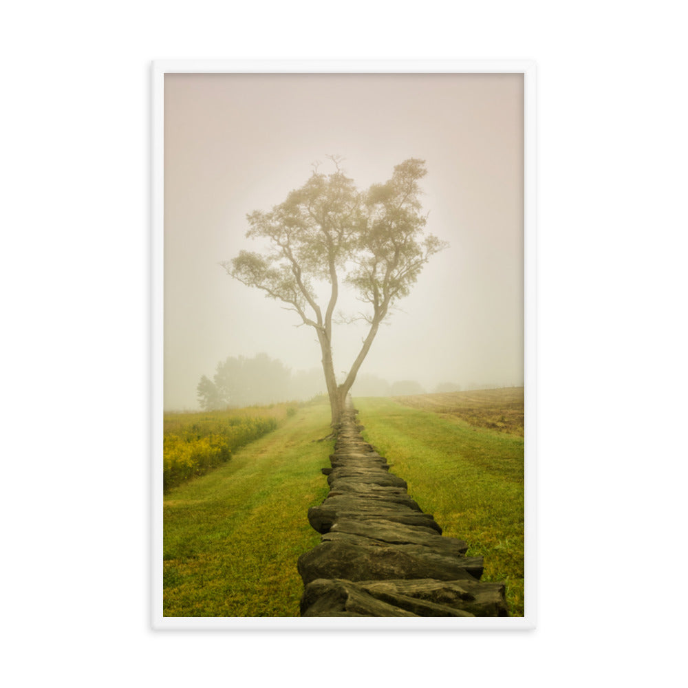 Calming Morning Rural Landscape Framed Photo Wall Art Prints