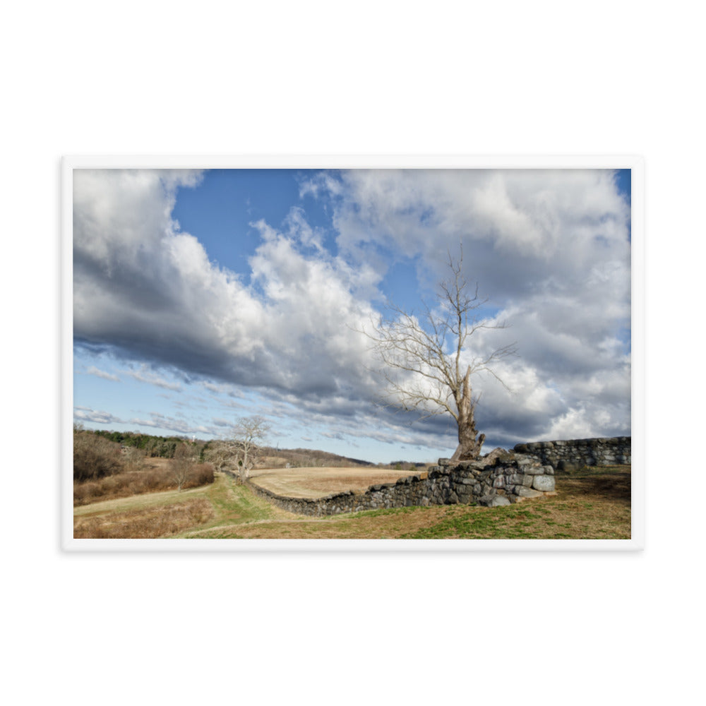 Dead Tree and Stone Wall - Color Framed Photo Wall Art Prints