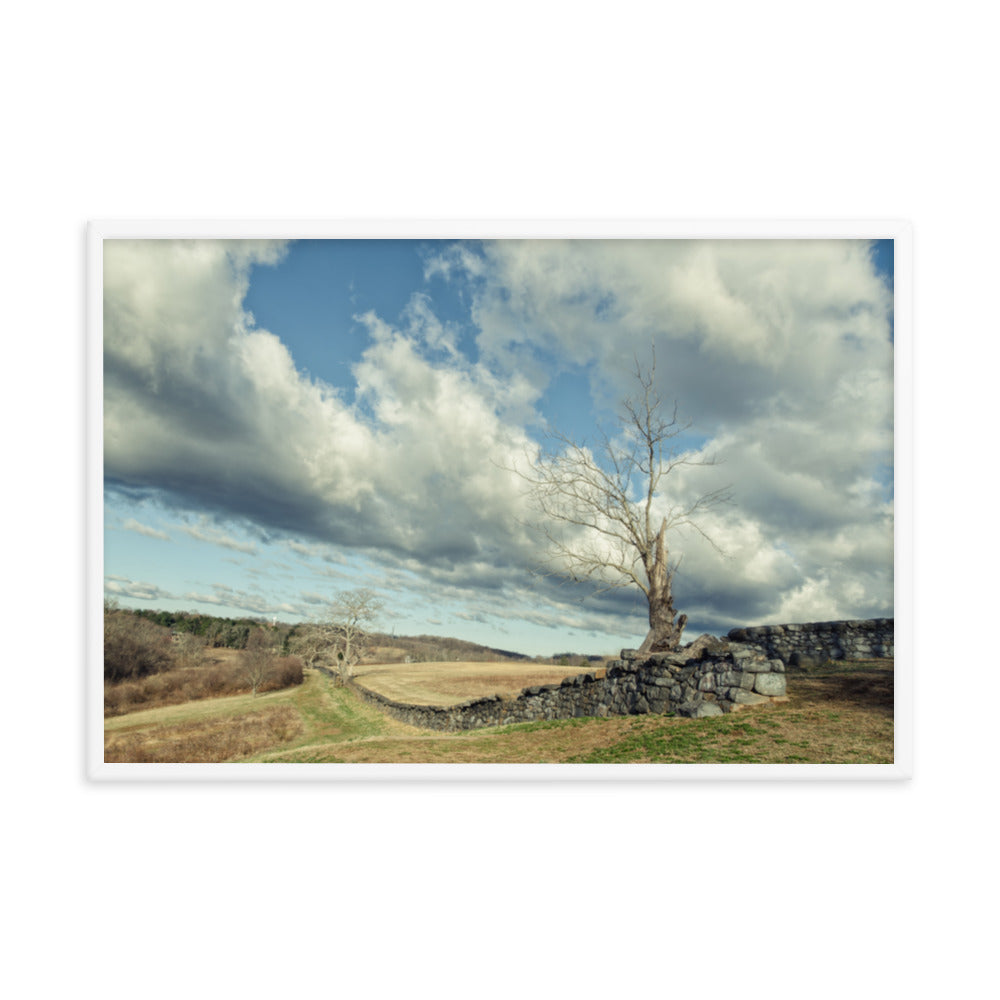 Dead Tree and Stone Wall - Split Toned Framed Photo Wall Art Prints