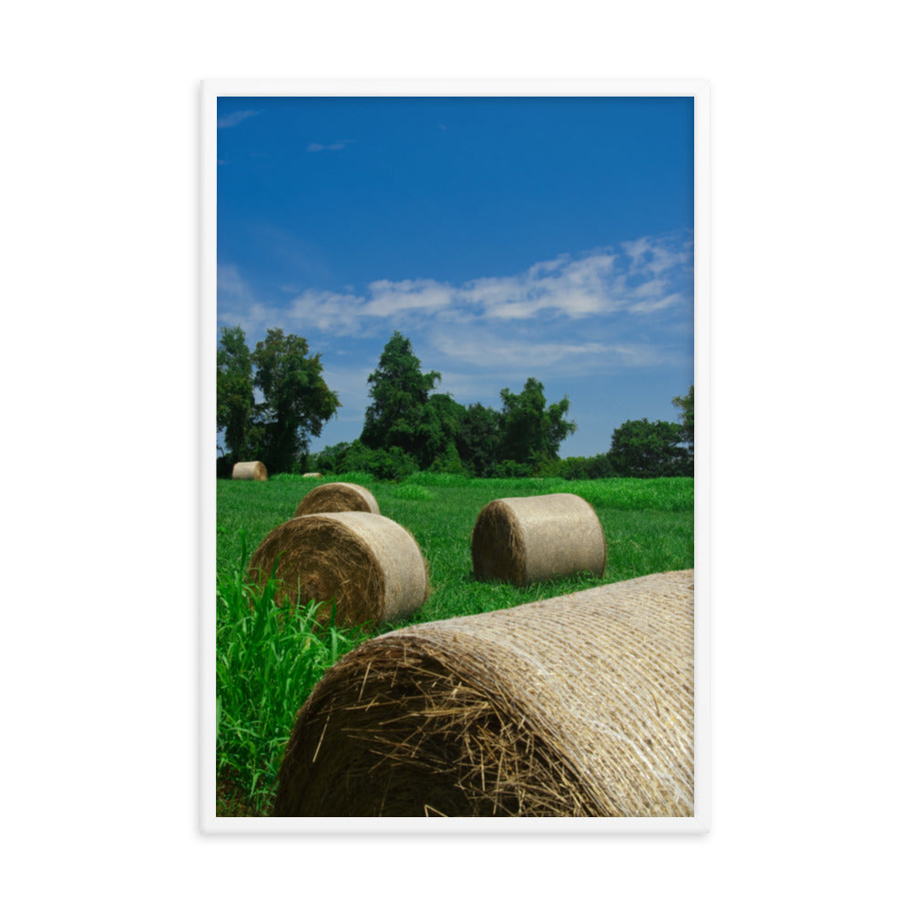 Hay Whatcha Doin in the Field Landscape Framed Photo Paper Wall Art Prints