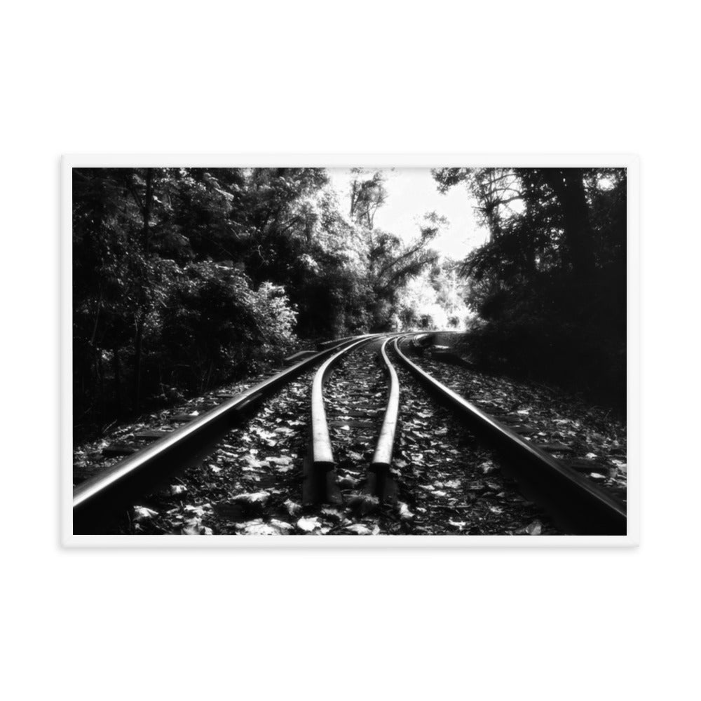 Lead Me into the Light in Black and White Framed Photo Paper Wall Art Prints