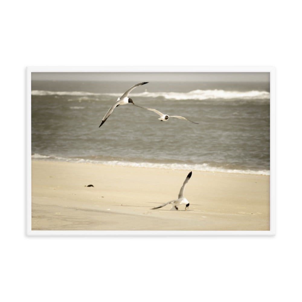 Life at the Shore Coastal Landscape Photo Framed Wall Art Print