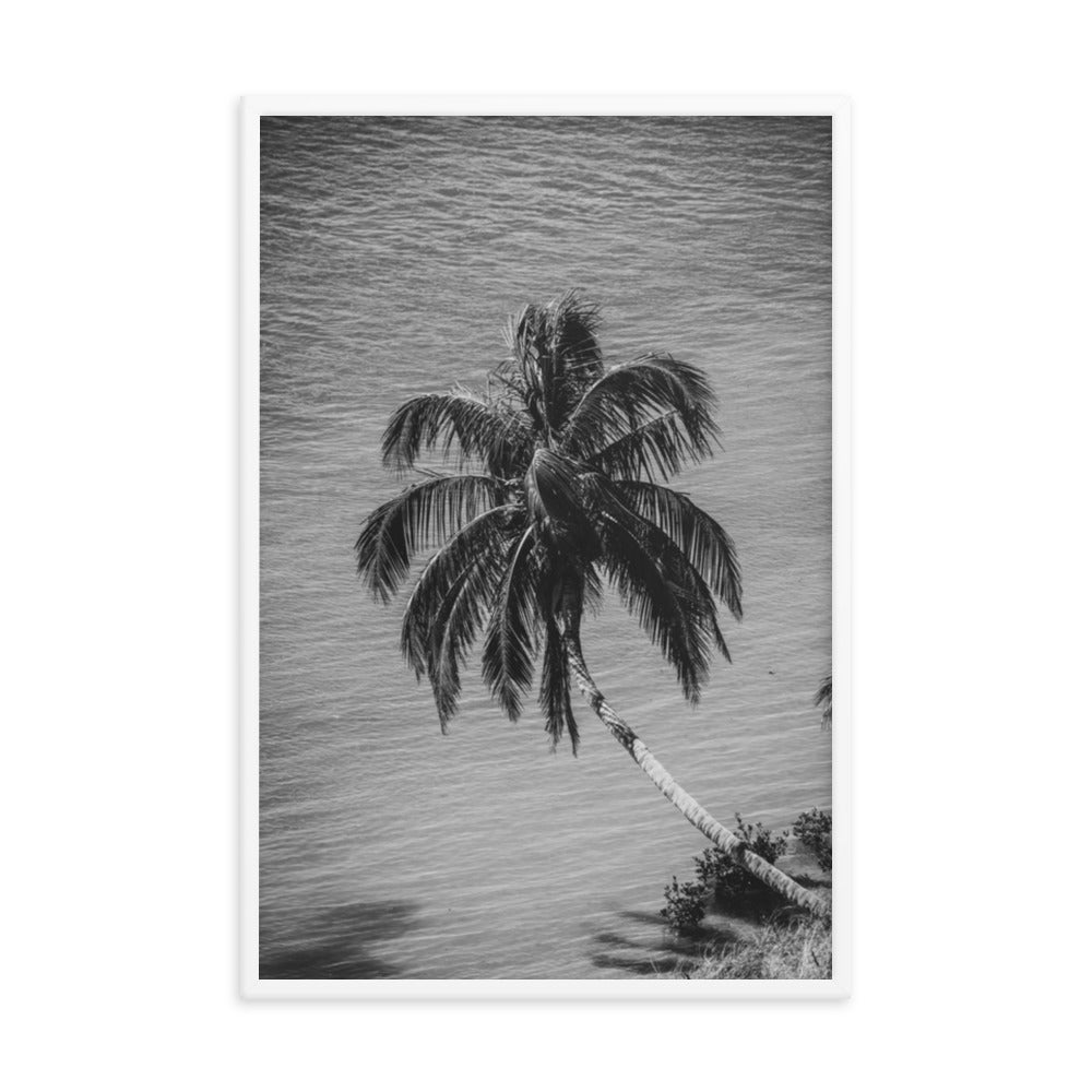 Palm Over Water Black and White Botanical Nature Photo Framed Wall Art Print