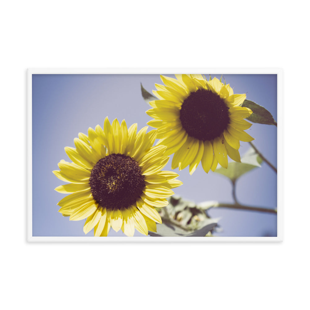 Large Framed Flower Pictures: Aged Sunflowers Against Sky Abstract / Minimal / Rustic / Country / Farmhouse Style / Floral / Botanical / Nature Photo Framed Wall Art Print - Artwork - Wall Decor - Home Decor