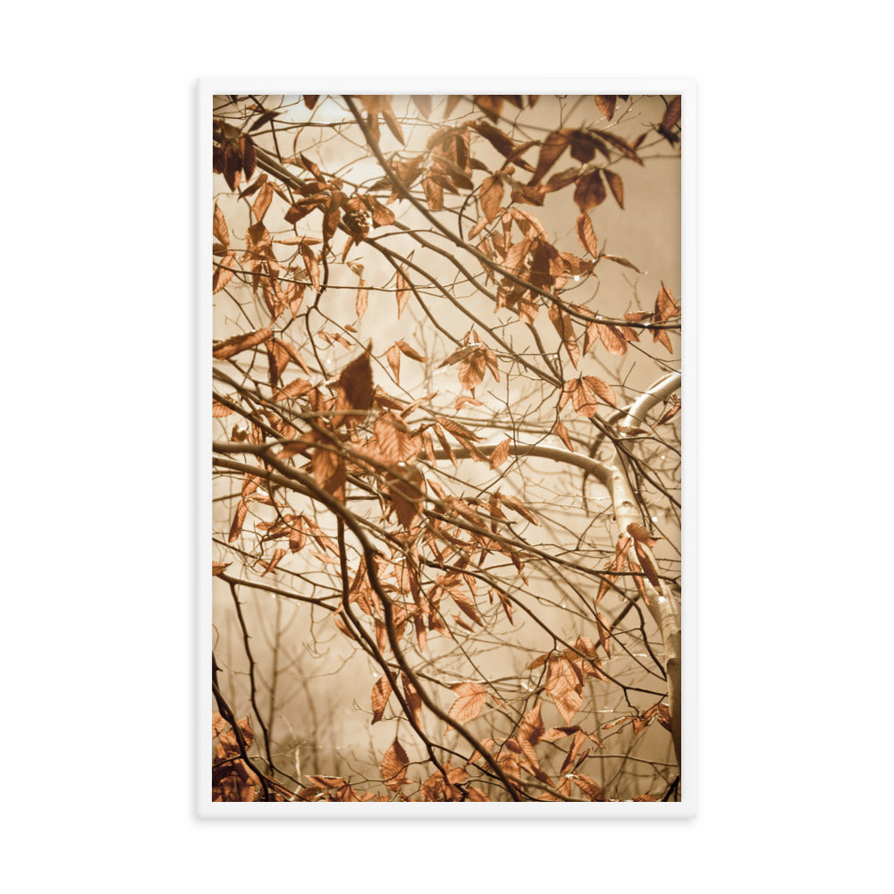 Wall Art For Hallway: Aged Winter Leaves Botanical / Nature Photo Framed Wall Art Print - Artwork - Farmhouse Style Wall Decor