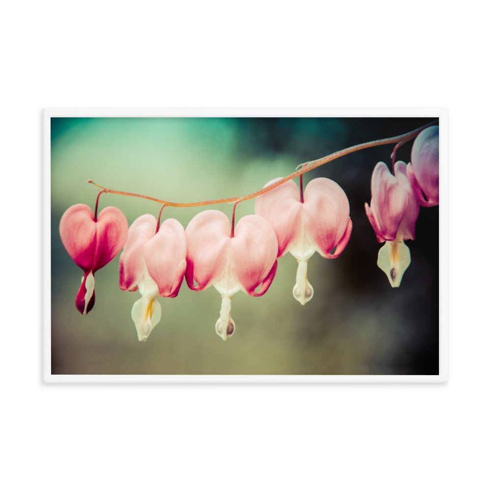 Be Still My Bleeding Heart Colorized Floral Nature Photo Framed Wall Art Print