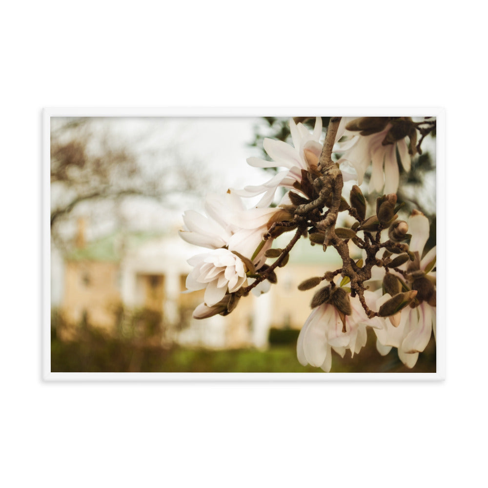 Bellevue Mansion Floral Nature Photo Framed Wall Art Print