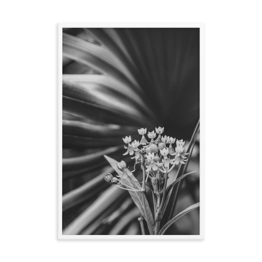Bloodflowers and Palm Black and White Framed Wall Art Print