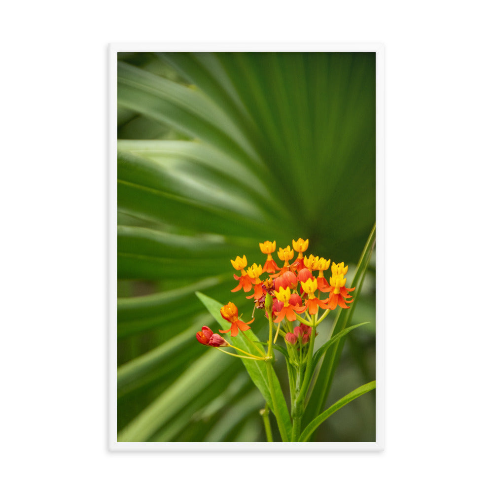 Bloodflowers and Palm Color Floral Nature Photo Framed Wall Art Print