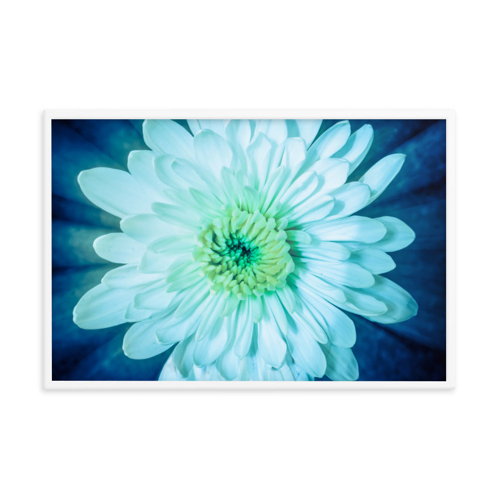 Brilliant Flower Floral Nature Photo Framed Wall Art Print