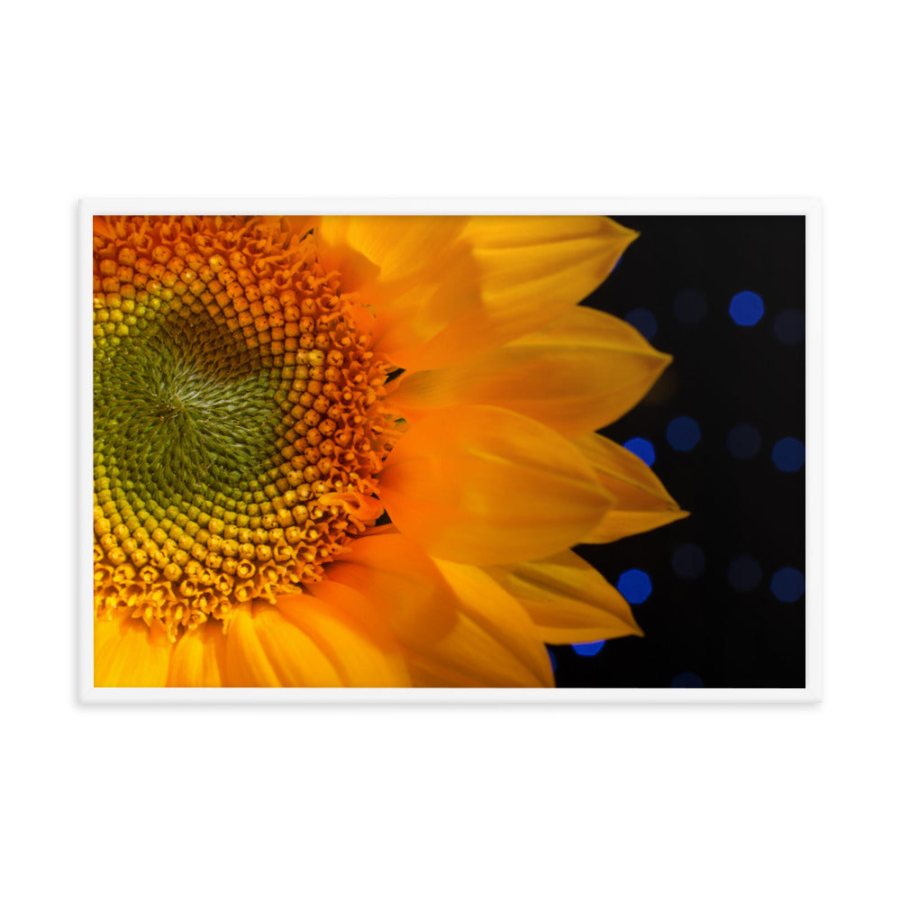 Close-up Sunflower Floral Nature Photo Framed Wall Art Print