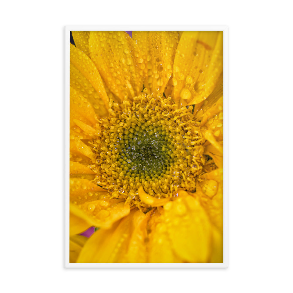 Joyful Color Floral Nature Photo Framed Wall Art Print