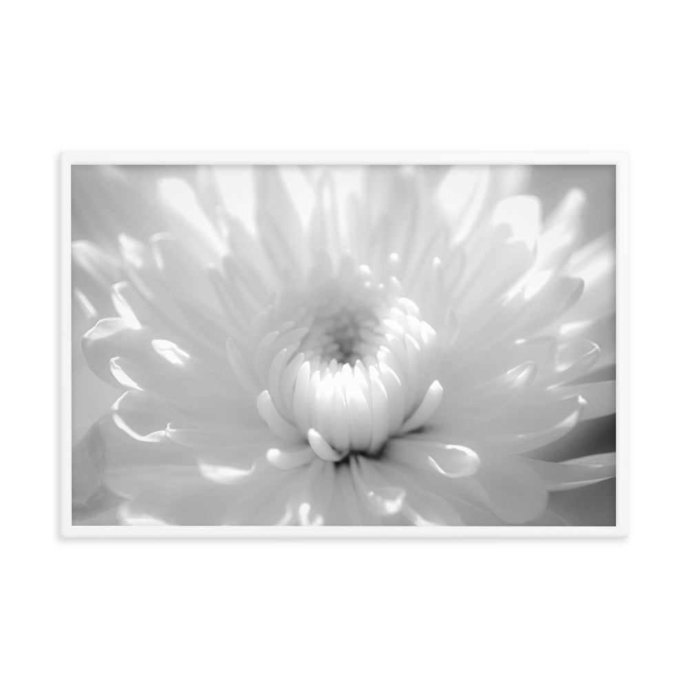 Infrared Flower 2 Black and White Floral Nature Photo Framed Wall Art Print