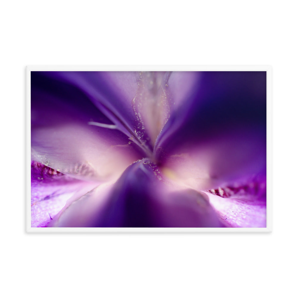 Iris Center Petals Floral Nature Photo Framed Wall Art Print