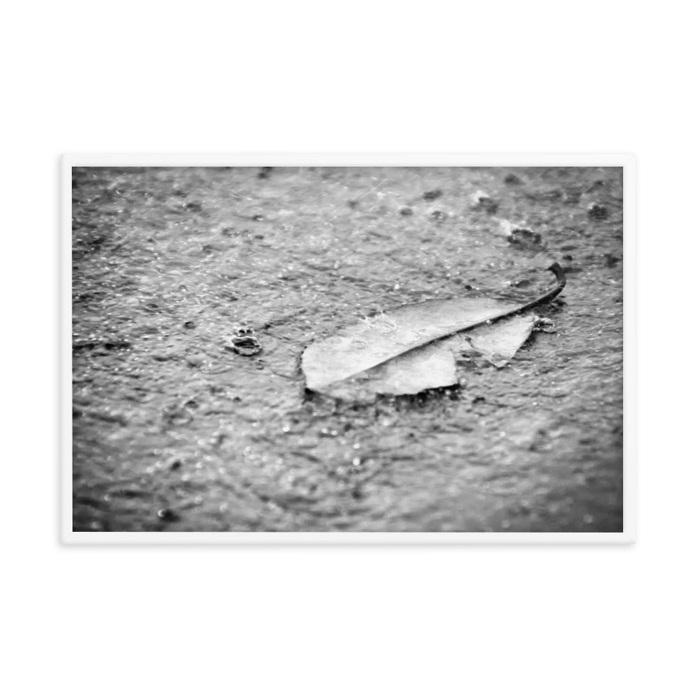 Fallen Leaf in The Rain Black and White Botanical Nature Photo Framed Wall Art Print