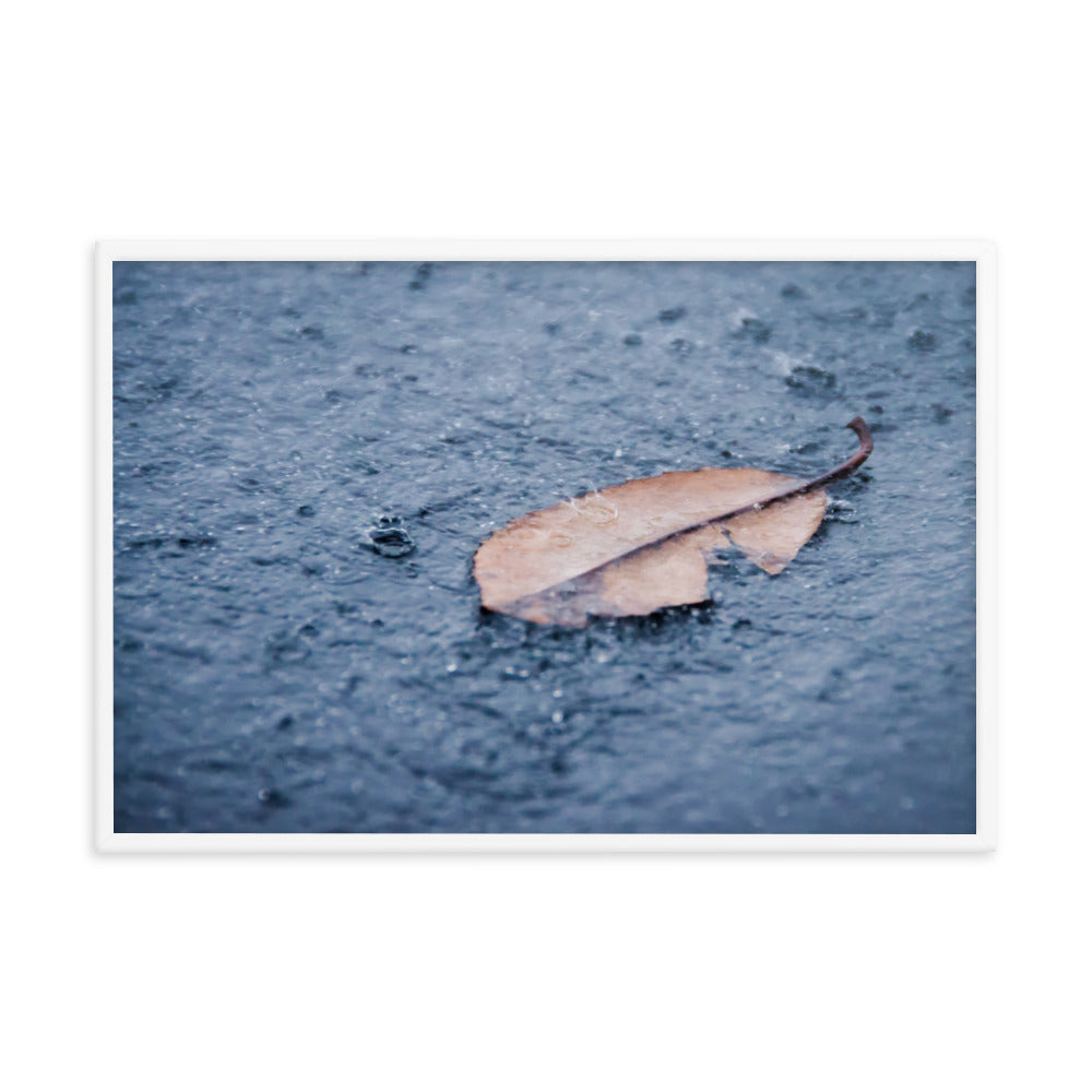 Fallen Leaf in The Rain Color Botanical Nature Photo Framed Wall Art Print