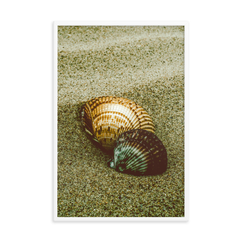 Dreamy Beach Sea Shells Coastal Nature Photo Framed Wall Art Print