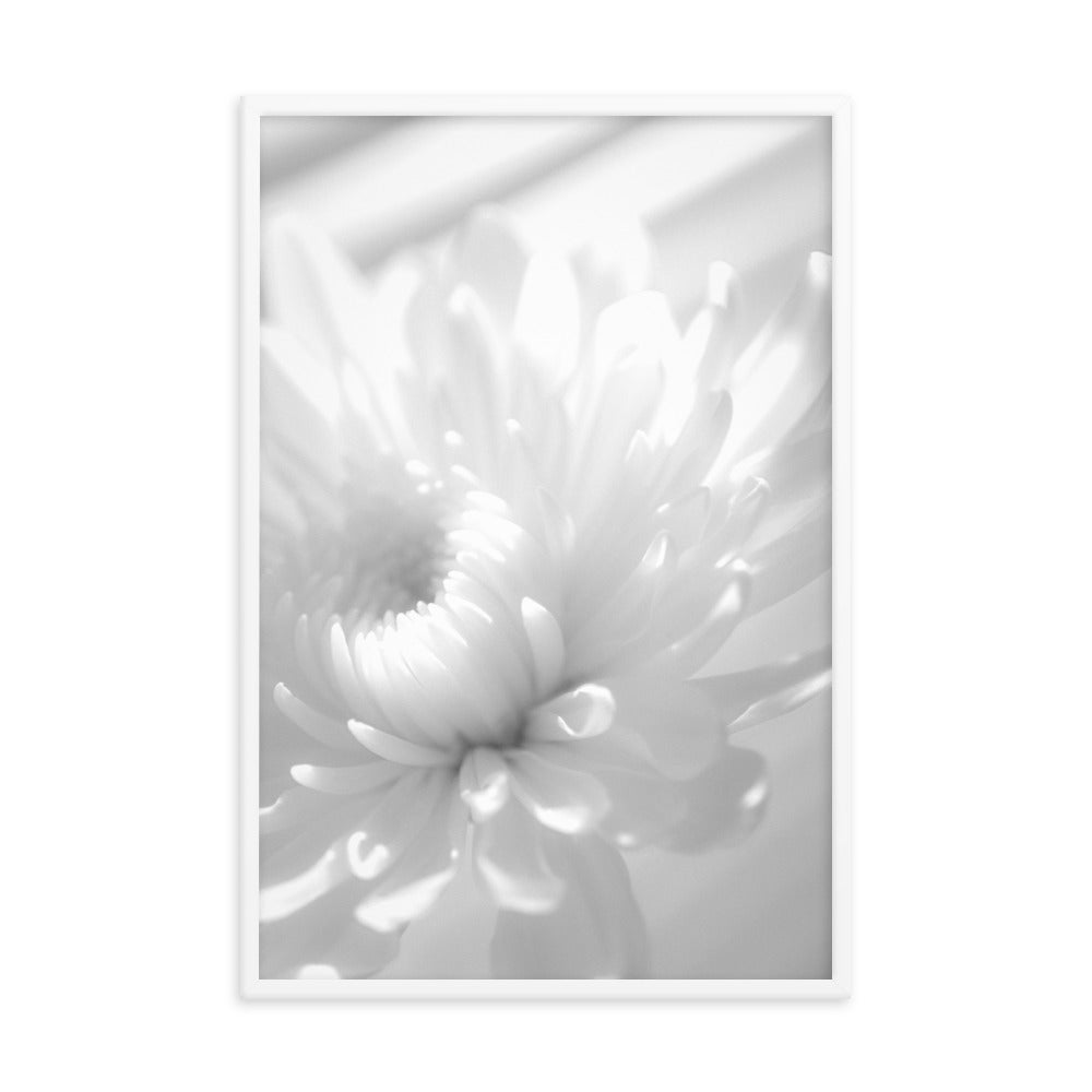 Infrared Flower Black and White Floral Nature Photo Framed Wall Art Print