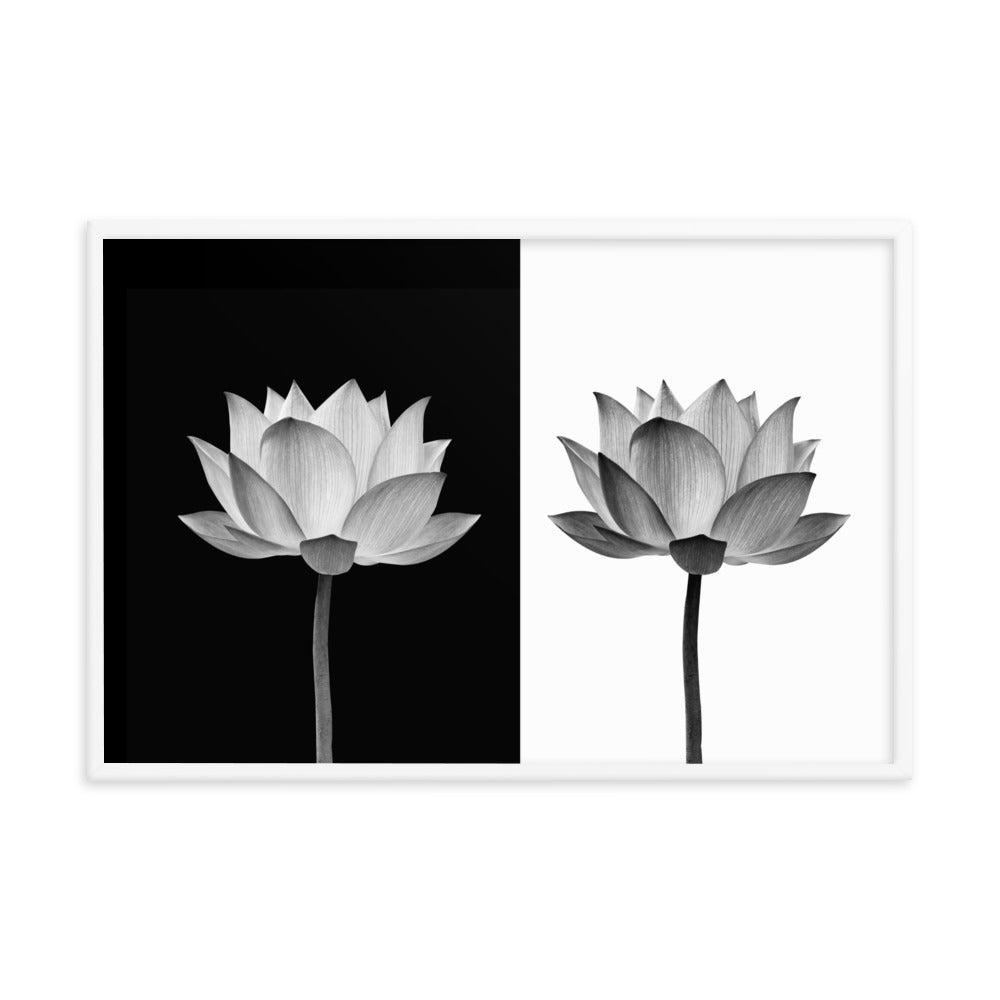 Lotus Flower on Black and White Background Floral Nature Framed Photo Paper Poster