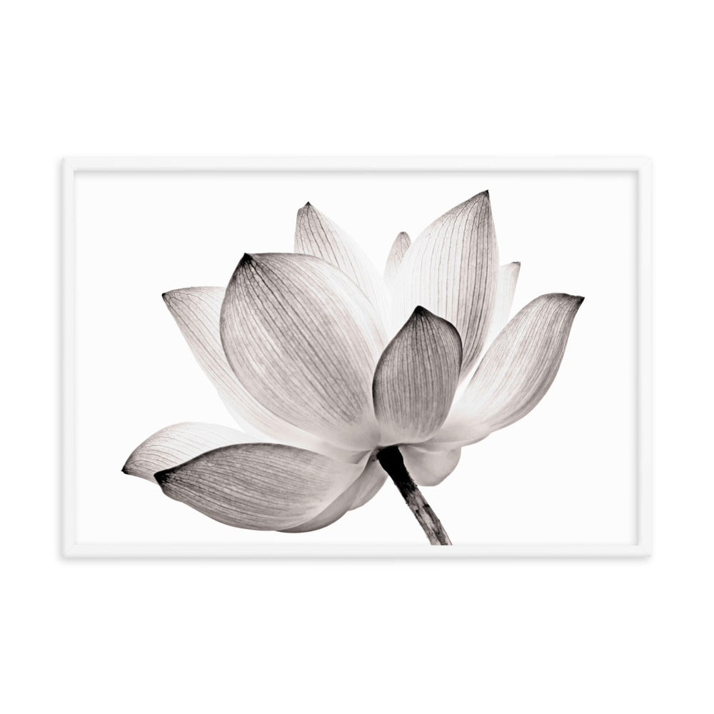 Lotus Flower Tinted Effect Floral Nature Framed Photo Paper Poster