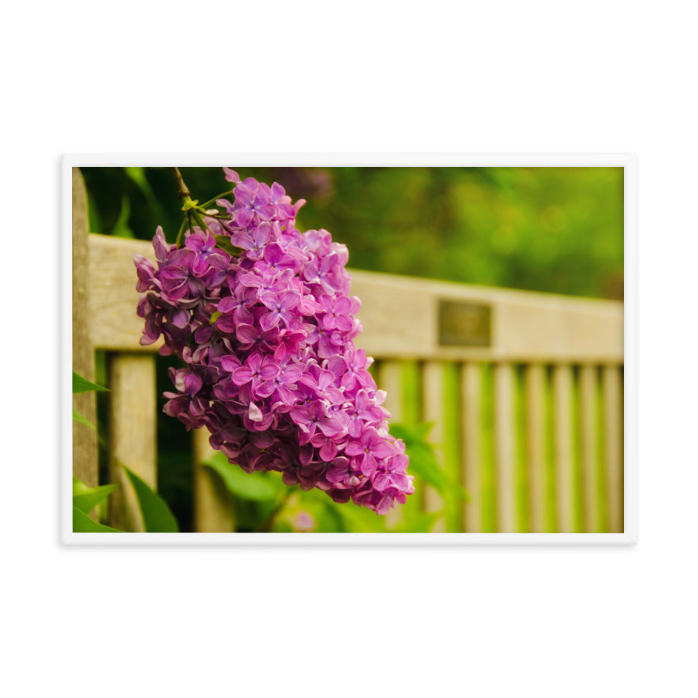 Park Bench with Lilac Floral Nature Photo Framed Wall Art Print