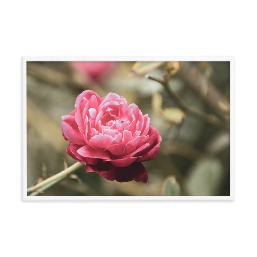 Perfect Petals Colorized Floral Nature Photo Framed Wall Art Print