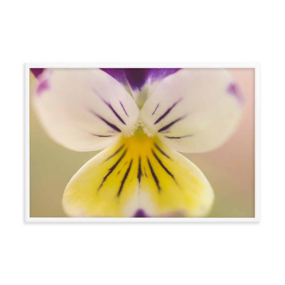 Oh Violet Floral Nature Photo Framed Wall Art Print