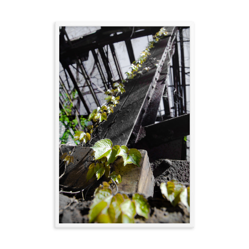 Nature Taking Over Botanical Nature Photo Framed Wall Art Print