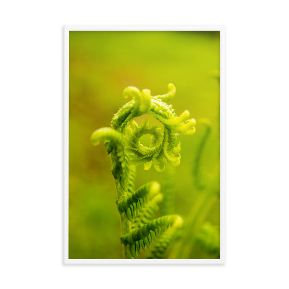 Nature's Perfection Botanical Nature Photo Framed Wall Art Print