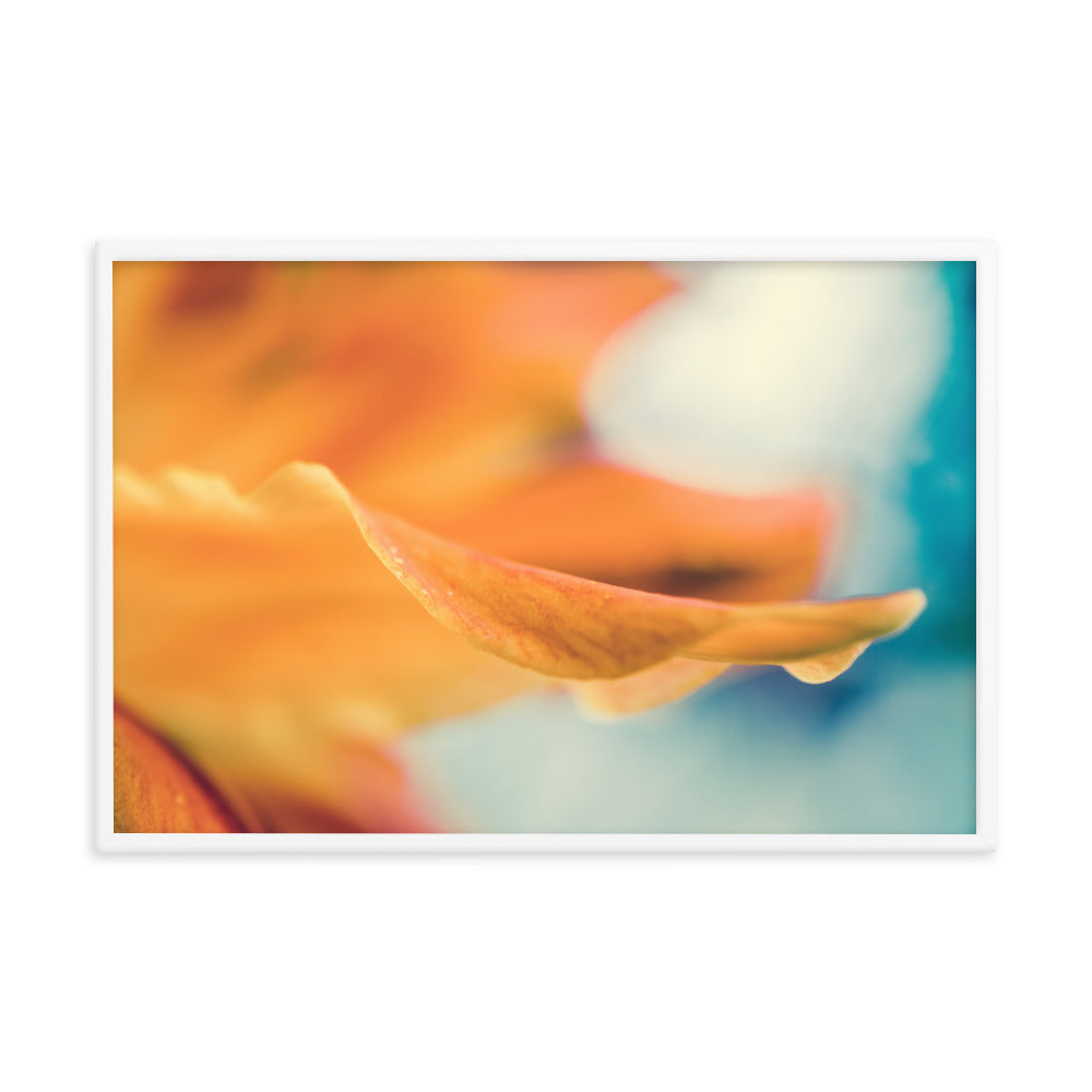 Serene Petals of Life Floral Nature Photo Framed Wall Art Print