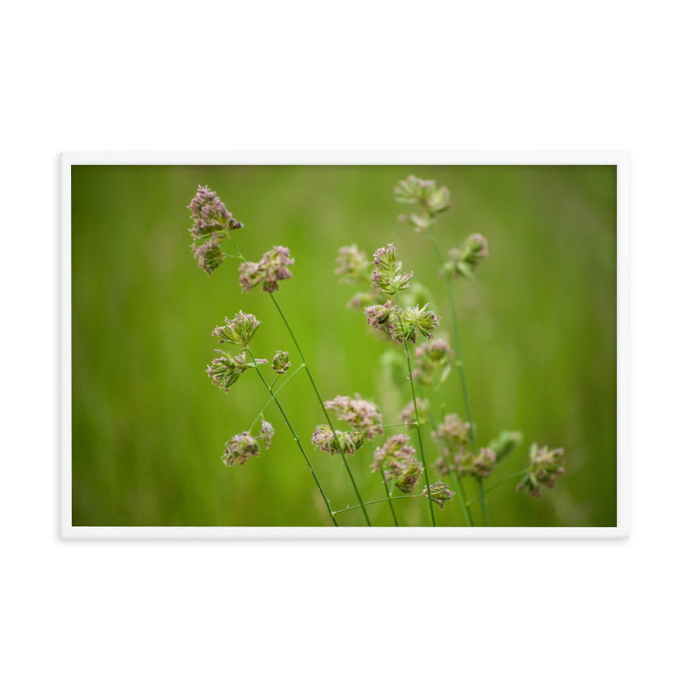 Softened Fields Botanical Nature Photo Framed Wall Art Print