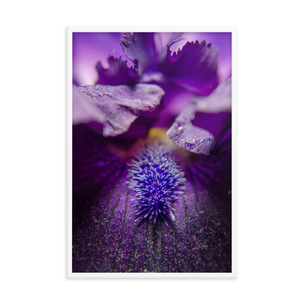 Stigma of Iris Floral Nature Photo Framed Wall Art Print
