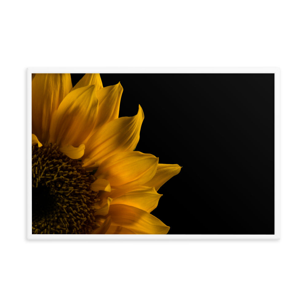 Sunflower in Corner Floral Nature Photo Framed Wall Art Print