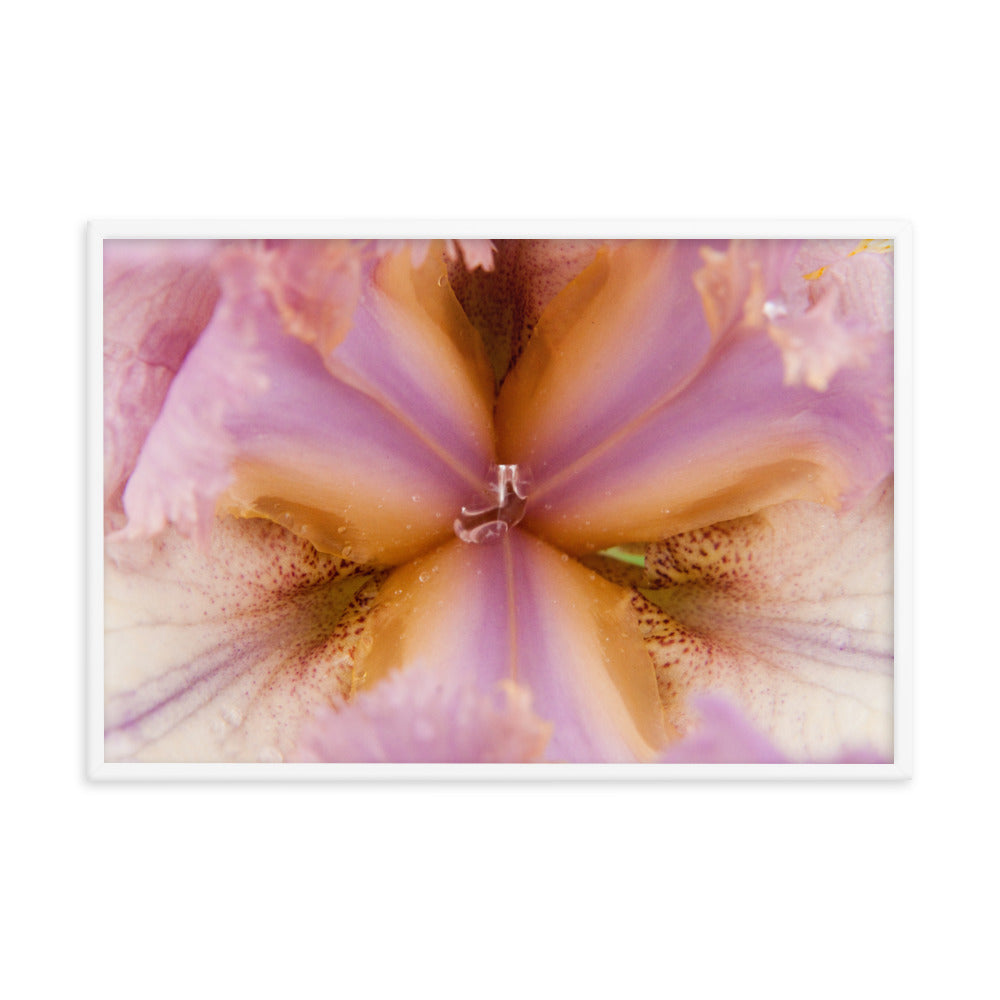 Symmetry of Nature Floral Nature Photo Framed Wall Art Print