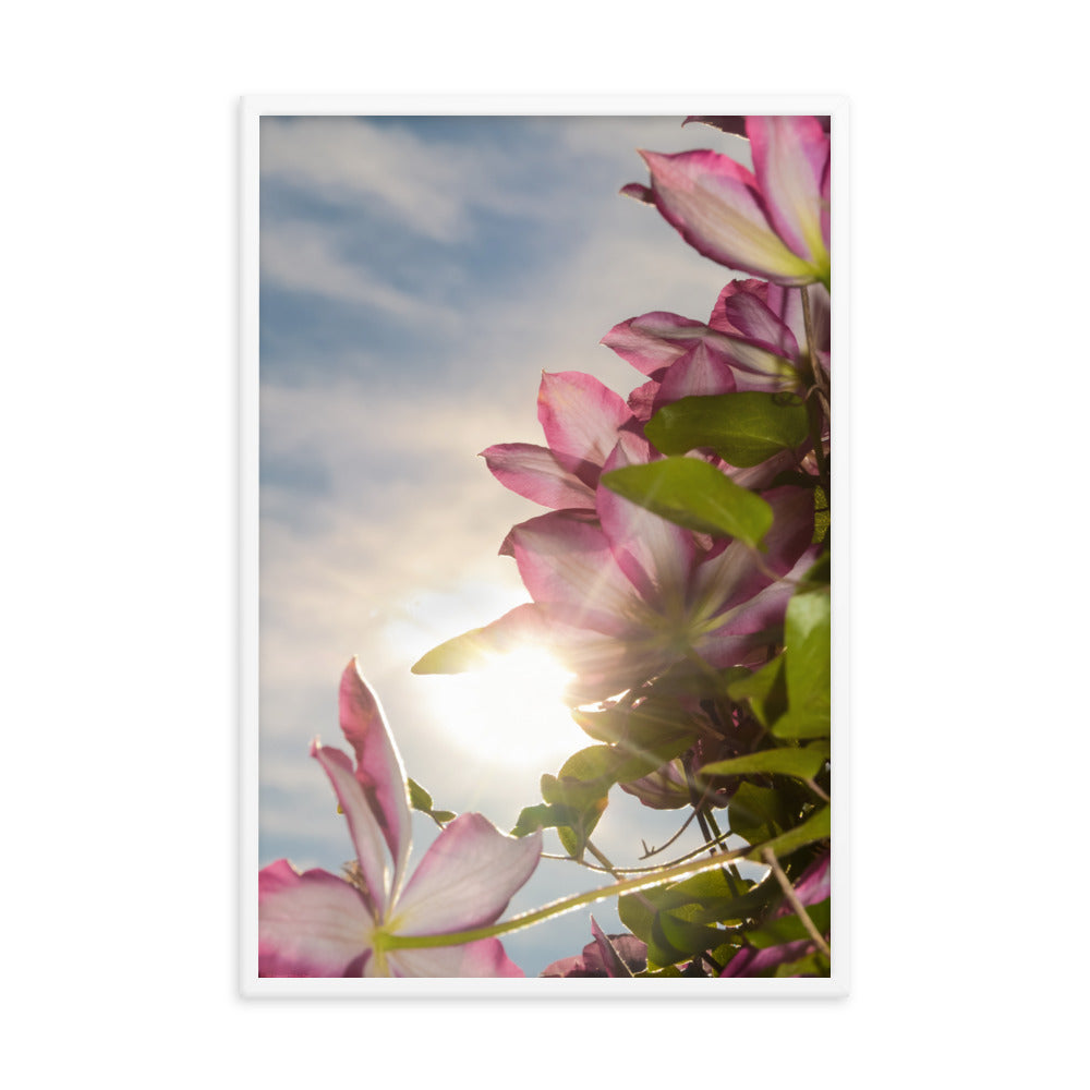 Towering Clematis Floral Nature Photo Framed Wall Art Print