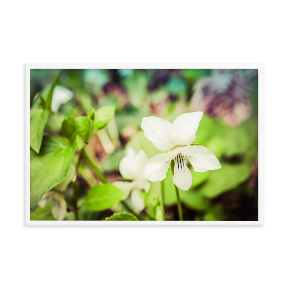 Tranquil China Violet Floral Nature Photo Framed Wall Art Print