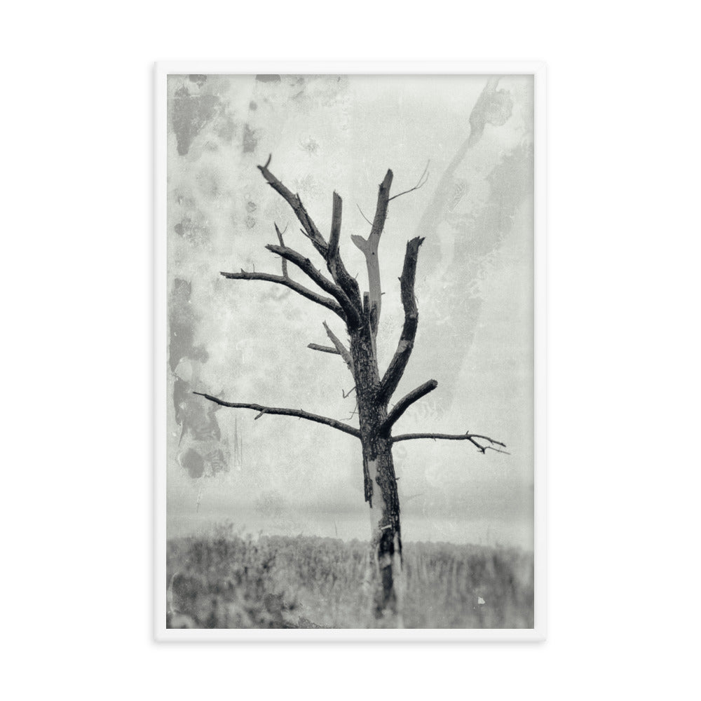 Rotting Away Alone Black and White Botanical Nature Photo Framed Wall Art Print