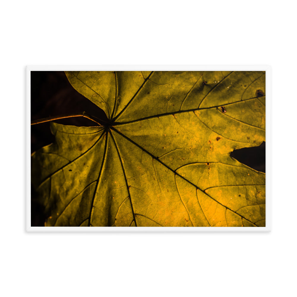 Seasons Change Botanical Nature Photo Framed Wall Art Print
